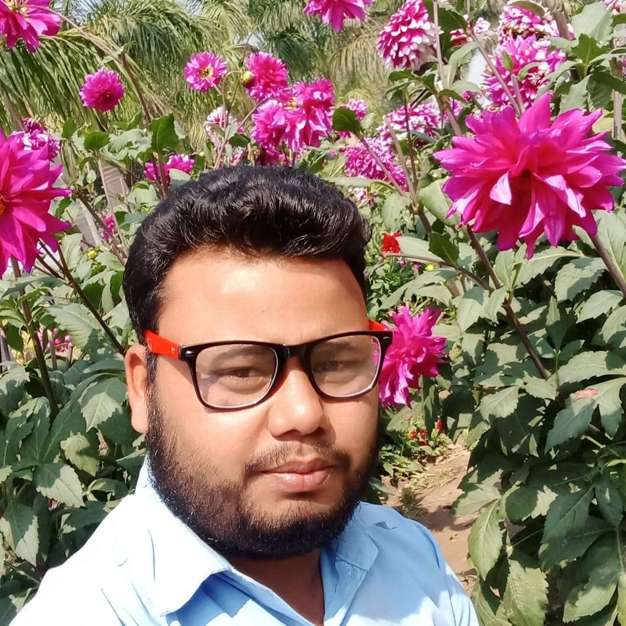 SANAUL ISLAM